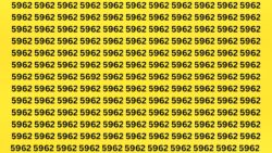 Genius Challenge: Only Sharp Eyes Can Detect 5692 Among 5962 — Try If You Dare!